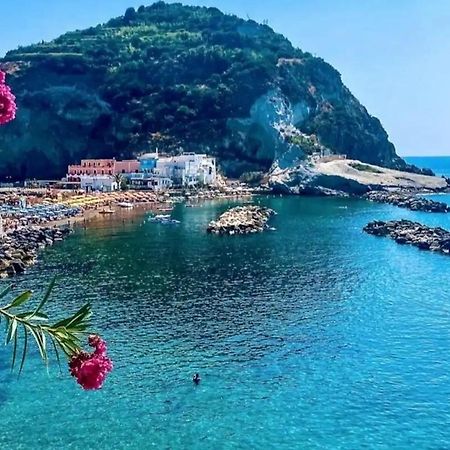 Mare Nostrum - Beachfront House - Sant'Angelo Ischia 외부 사진