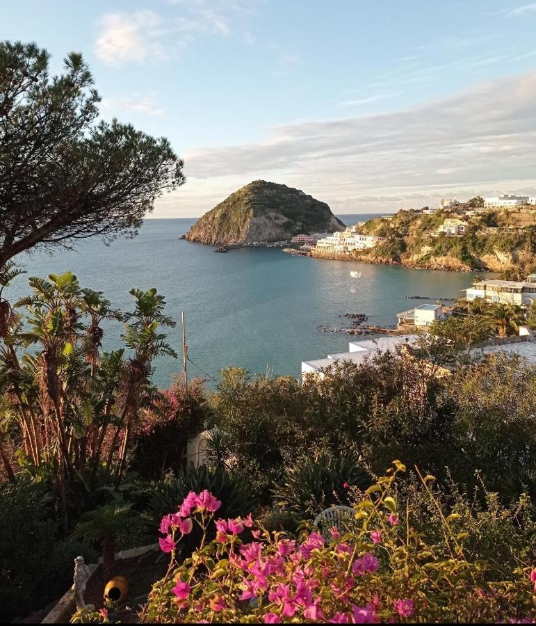 Mare Nostrum - Beachfront House - Sant'Angelo Ischia 외부 사진