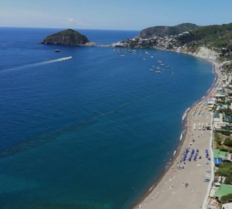 Mare Nostrum - Beachfront House - Sant'Angelo Ischia 외부 사진