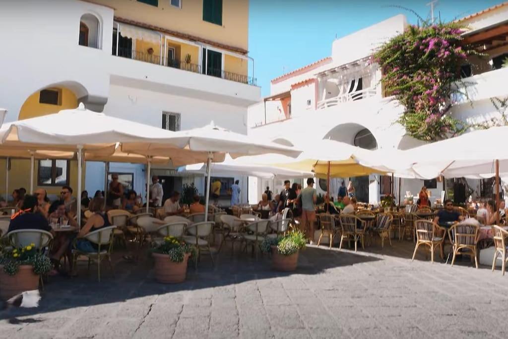Mare Nostrum - Beachfront House - Sant'Angelo Ischia 외부 사진