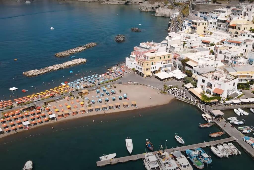 Mare Nostrum - Beachfront House - Sant'Angelo Ischia 외부 사진