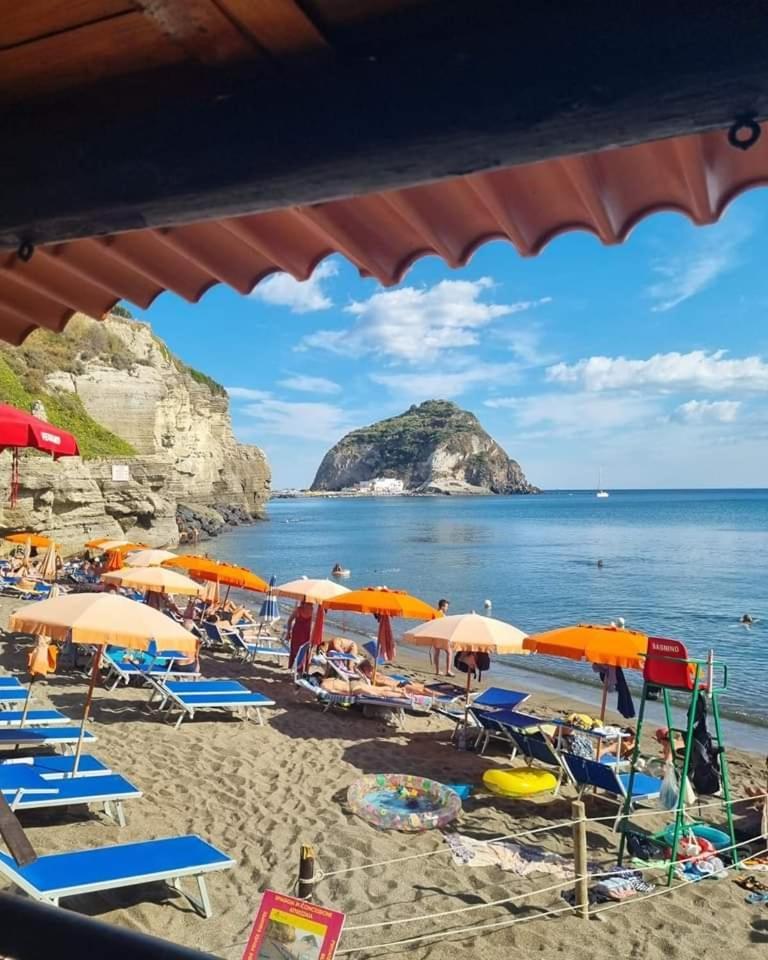 Mare Nostrum - Beachfront House - Sant'Angelo Ischia 외부 사진